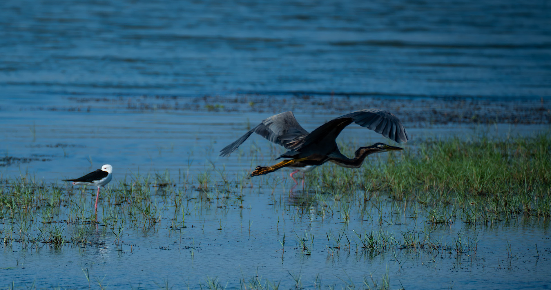 Ceylon Natureland GTours